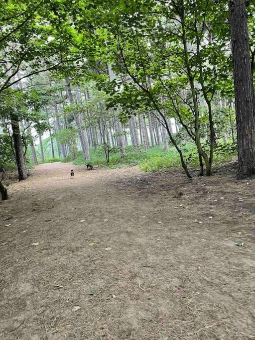 Formby, Spacious True Bungalow Steps From Beach 外观 照片